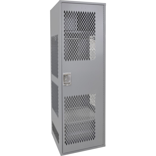 FN466 Casier pour &eacute;quipement avec porte, Acier, 24" la x 24" p x 72" h, Gris