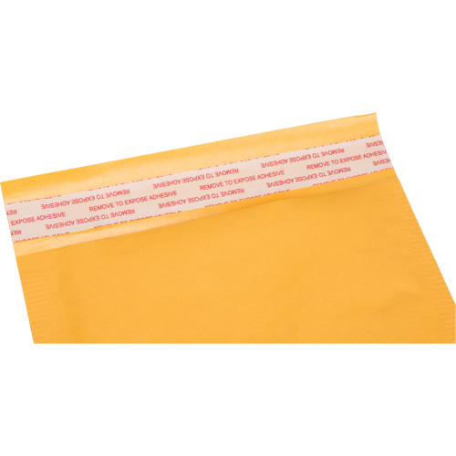 PG238 Enveloppes postales coussin&eacute;es, Kraft, 6" la x 10" lo