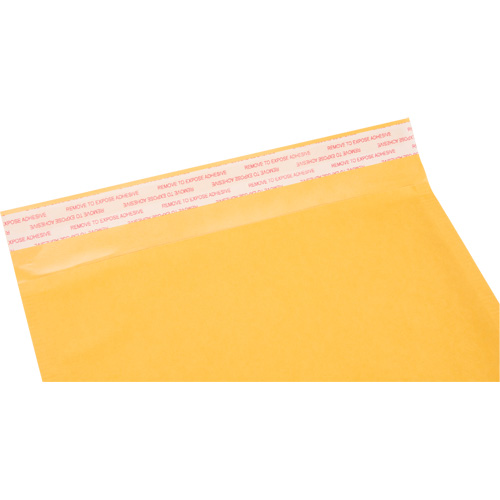 Kleton PG243 Enveloppes postales coussinées, Kraft, 8-1/2" la x 14-1/4" lo