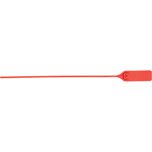 PG664 Scell&eacute; de s&eacute;curit&eacute; robuste, 13", Plastique, Scell&eacute; &agrave; tirer