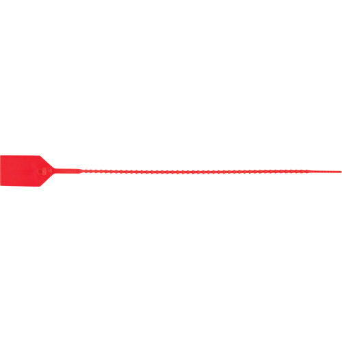 PG667 Standard-Duty Security Seal, 12", Plastic, Plastic Seal