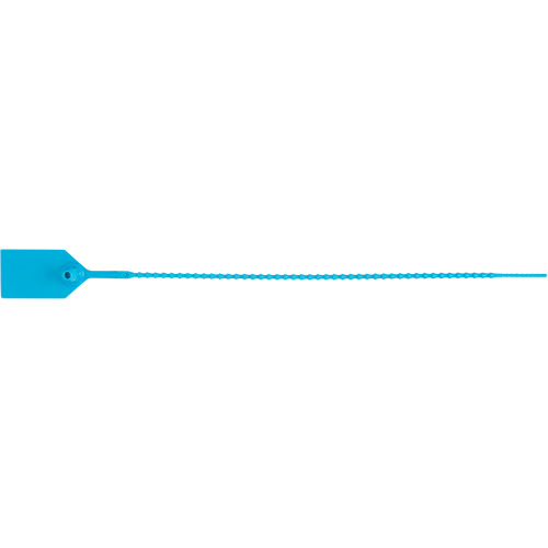 PG668 Standard-Duty Security Seal, 12", Plastic, Plastic Seal
