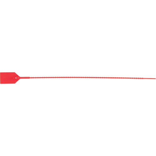 PG669 Scell&eacute; de s&eacute;curit&eacute; standard, 15", Plastique, Scell&eacute; en plastique
