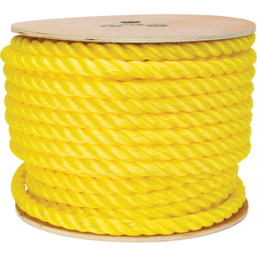 PG773 Braided Yellow Rope, Polypropylene, 144'