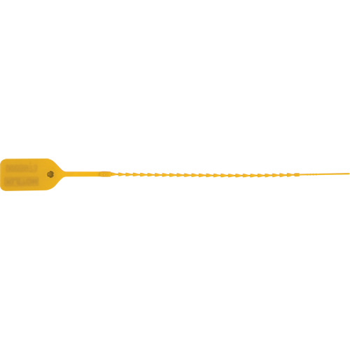 PG787 Standard-Duty Security Seal, 9", Plastic, Pull-Through