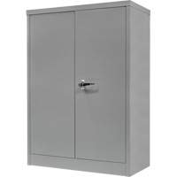 FN705 Counter-High Storage Cabinet, Steel, 2 Shelves, 42" H x 30" W x 15" D, Grey