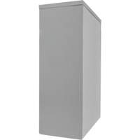 FN705 Counter-High Storage Cabinet, Steel, 2 Shelves, 42" H x 30" W x 15" D, Grey
