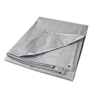 NN407 Tarp, Super Heavy-Duty, Silver, 10' x 8' x 12 mils