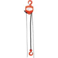 LW567 Chain Hoist, 10' Lift, 1000 lbs. (0.45 tons) Capacity, Alloy Steel Chain