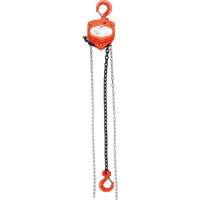 Chain Hoist, 10' Lift, 1000 lbs. (0.45 tons) Capacity, Alloy Steel Chain LW567 | KLETON