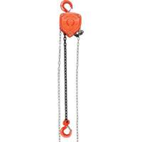 LW573 Chain Hoist, 20' Lift, 1000 lbs. (0.45 tons) Capacity, Alloy Steel Chain