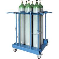 MQ099 6-Cylinder Forklift Cylinder Storage Caddy