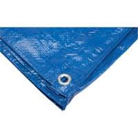 NN363 Tarp, Standard Duty, Blue, 7' x 5' x 4 mils