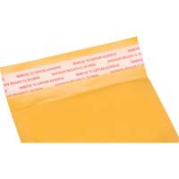 Enveloppes postales coussinées, Kraft, 4" la x 8" lo PG240 | KLETON