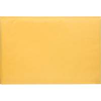 Enveloppes postales coussinées, Kraft, 12-1/2" la x 19" lo PG246 | KLETON