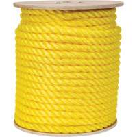 PG772 Braided Yellow Rope, Polypropylene, 300'
