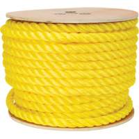 PG773 Braided Yellow Rope, Polypropylene, 144'
