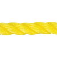 PG773 Braided Yellow Rope, Polypropylene, 144'