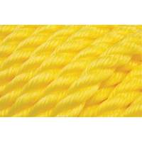 PG773 Braided Yellow Rope, Polypropylene, 144'
