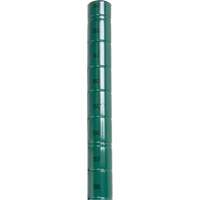 RL629 Heavy-Duty Green Epoxy Finish Wire Shelving Post