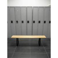 Locker Room Bench, Wood, 48" L x 9-1/4" W x 16-1/2" H RL871 | KLETON