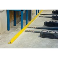 RN065 Floor Angle Guard Rails, Steel, 48" L x 5" H, Yellow