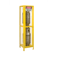 Gas Cylinder Cabinets, 2 Cylinder Capacity, 17" W x 17" D x 69" H, Yellow SEB838 | KLETON