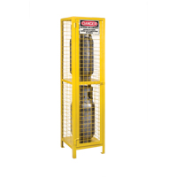 Gas Cylinder Cabinets, 2 Cylinder Capacity, 17" W x 17" D x 69" H, Yellow SEB838 | KLETON